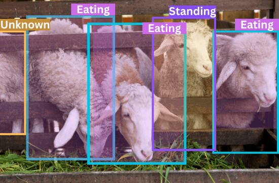 Enhancing Animal Welfare Through AI Technologies
