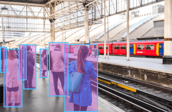 AI-Driven Solutions for Crowd Control