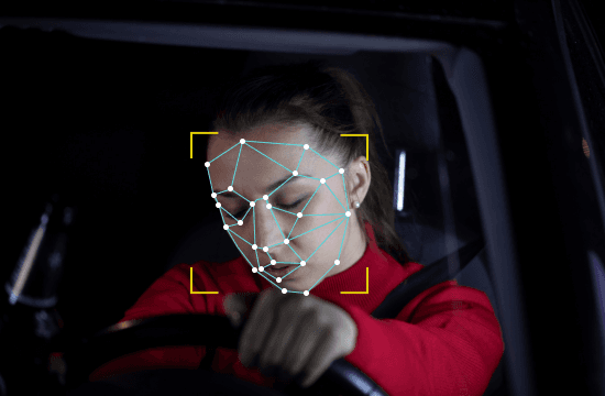 In-Cabin/Driver or Occupant Monitoring Systems.