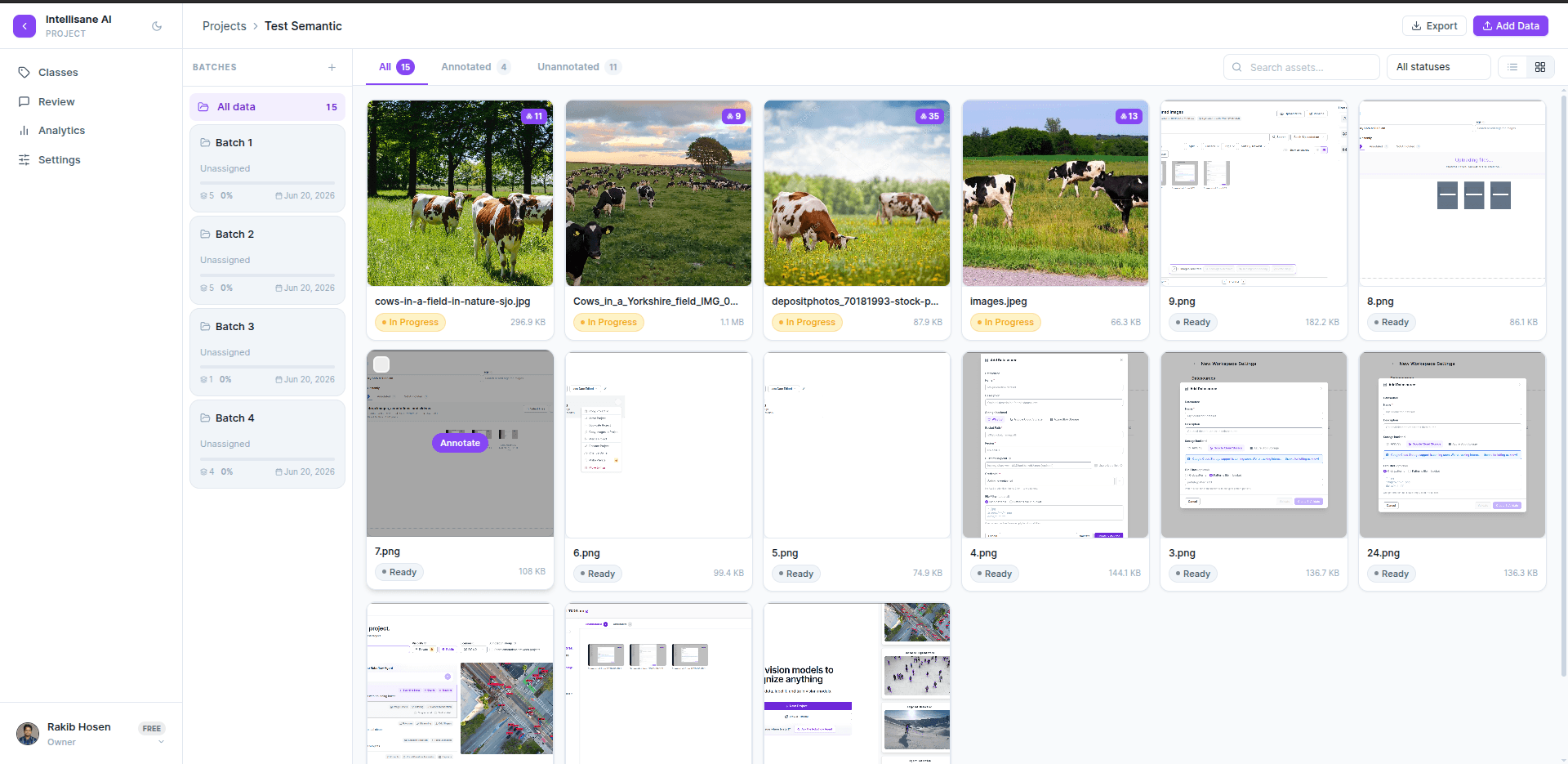 Intellisane AI platform project view with an image grid, batch sidebar and status badges