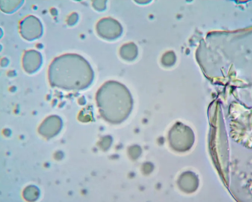 second image
