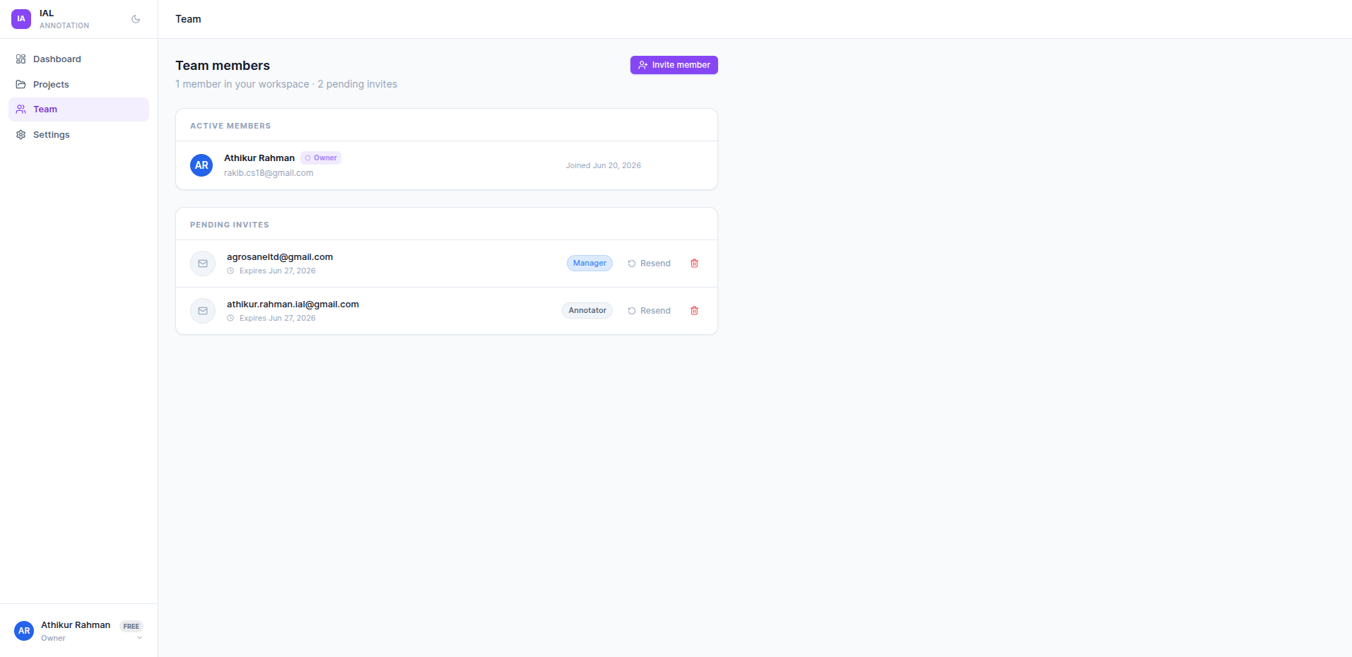 Team management page showing active members and pending invites with roles